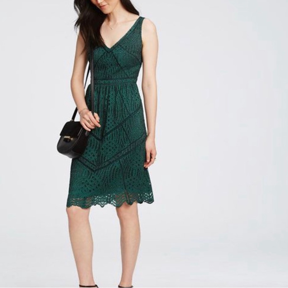 Ann Taylor dark green lace holiday dress